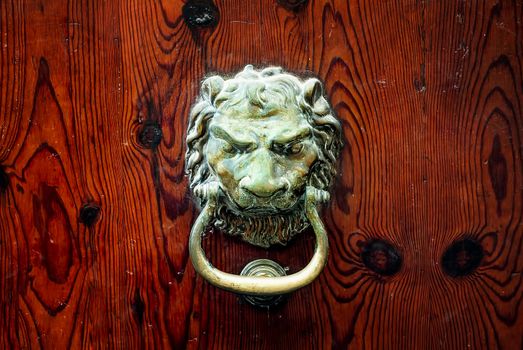 Decorative bronze lion head door knob on a dark wooden background