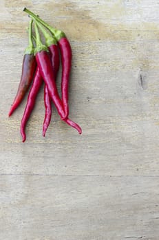 Hot red chilli peppers on a wooden background