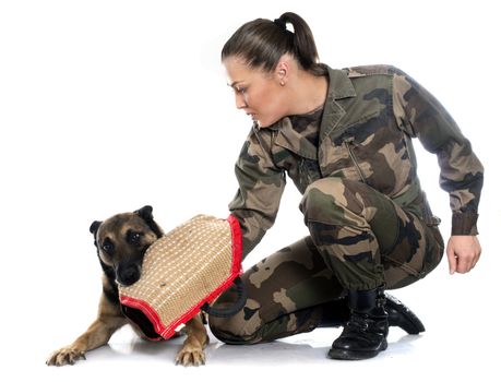 woman soldier and malinois in front of white background