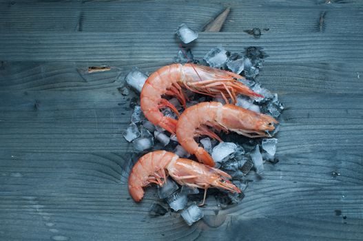 Fresh prawns lying on a bed of ice, italy