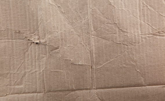 Cardboard Texture