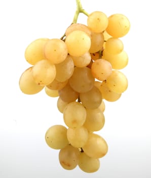 white grape on white background