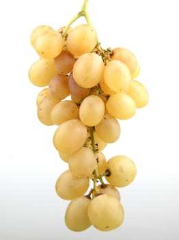 white grape on white background