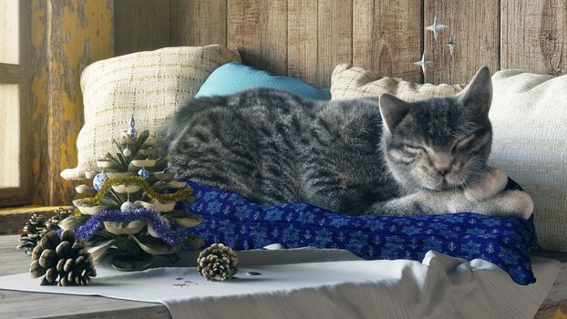 Sleeping cat on winter window background concept composition