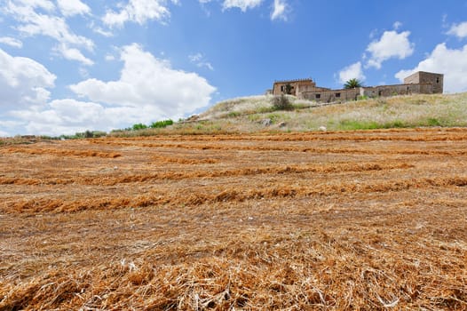 Mown Field on the Hill in Sicily, Italy