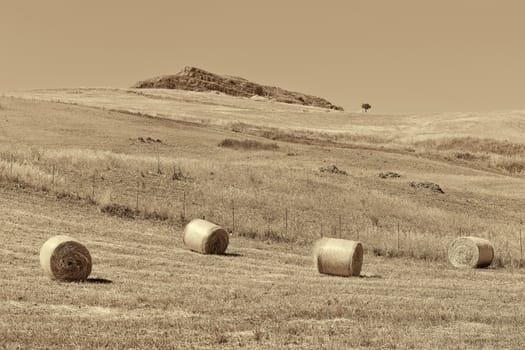 Landscape of Sicily with Many Hay Bales, Retro Image Filtered Style