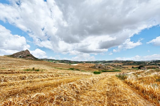 Mown Wheat Field on the Hill in Sicily, Italy