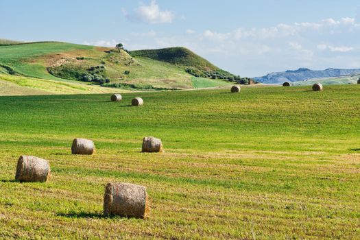 Landscape of Sicily with Many Hay Bales