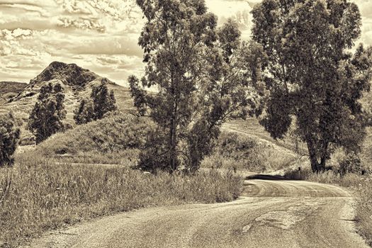 Old Broken Road between Spring  Fields of Sicily, Retro Image Filtered Style