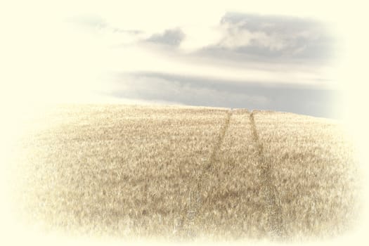 Wheat Fields on the Hills of Sicily, Retro Image Filtered Style