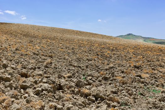 Plowed Fields on the Sloping Hills of Sicily