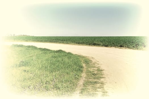 Green Fields in Israel, Spring, Retro Image Filtered Style