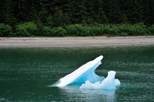 A view in Alaska 