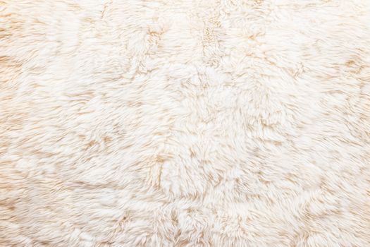 nice texture of white fur , use for background