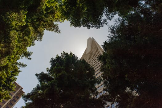 Transamerica Pyramid in San Francisco