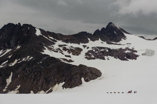 Dogs sledding in glacier