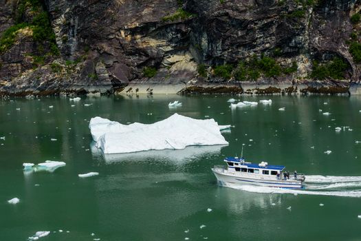 Tour to Tracy Arm Glacier