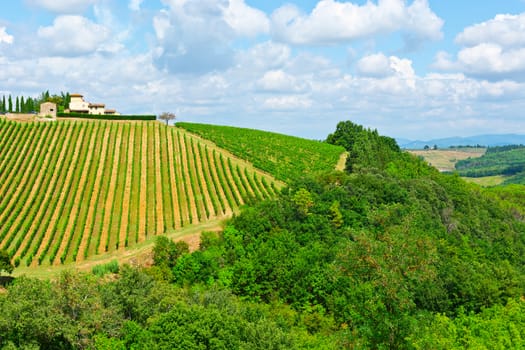 Hills of Tuscany with Vineyards in the Chianti Region