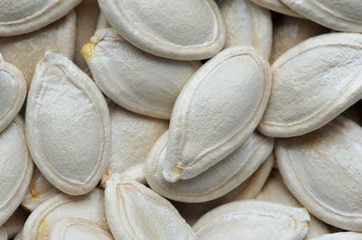 white pumpkin seeds