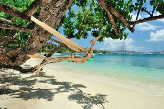 Bird from wood in Paradise beach in St joan island