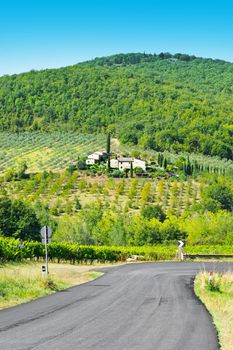 Italian Farmhouse near the Road Surrounded by Vineyards, Olive Groves and Cypress Alleys