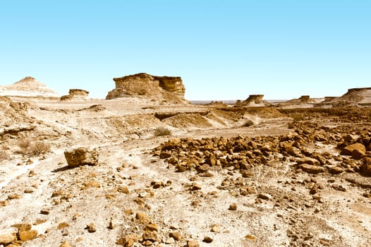 Stony Canyon of the Negev Desert in Israel