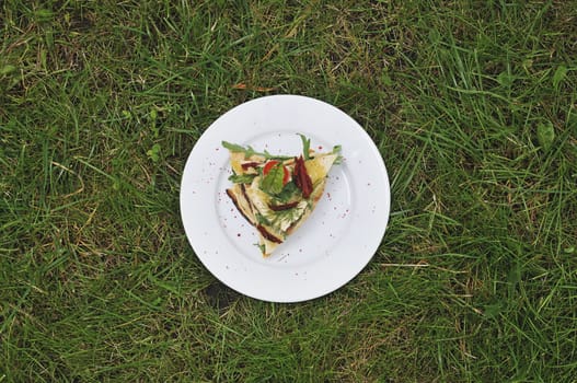 sandwich on white plate on grass background