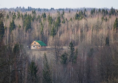 House with green roof in deep forest