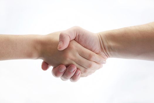 Shaking hands with a white plain background