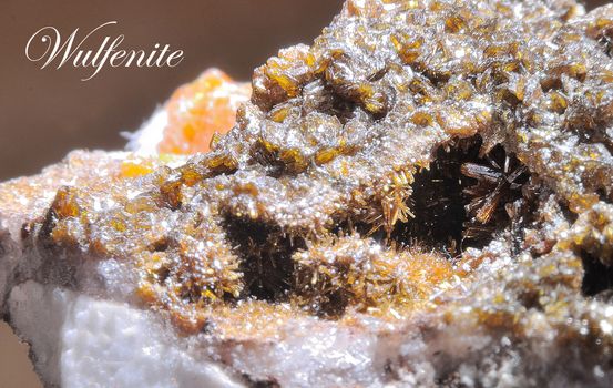 SAMPLES OF CRYSTALS PHOTOGRAPHED IN MACRO.