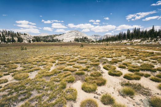 Mountain landscape in the Sierra Nevada mountains, California