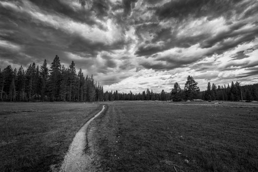 Mountain landscape in the Sierra Nevada mountains, California