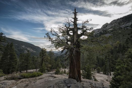 Mountain landscape in the Sierra Nevada mountains, California