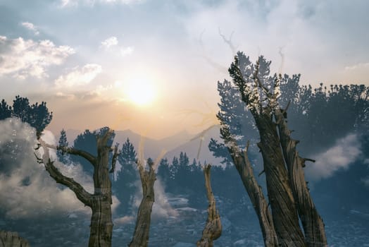 Mountain landscape in the Sierra Nevada mountains, California