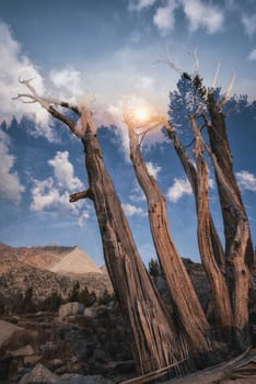 Mountain landscape in the Sierra Nevada mountains, California