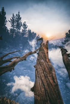 Mountain landscape in the Sierra Nevada mountains, California