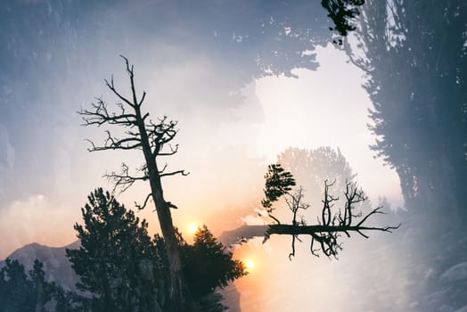 Mountain landscape in the Sierra Nevada mountains, California