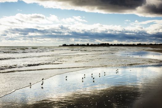 Photograph shows a coastal landscape in Rhode Island