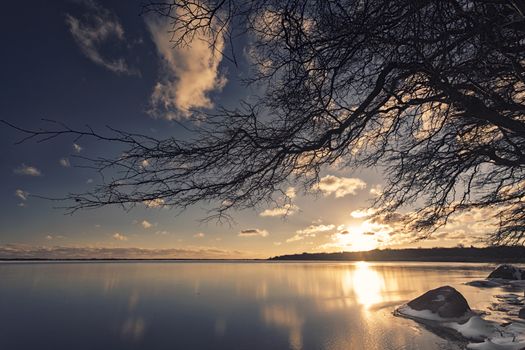 Photograph shows a coastal landscape in Rhode Island