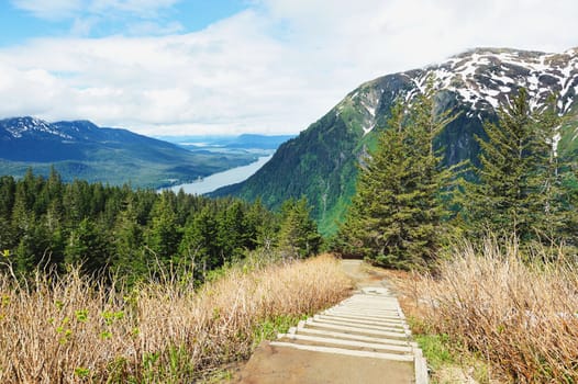 Wooden stairs in mountain of alaska