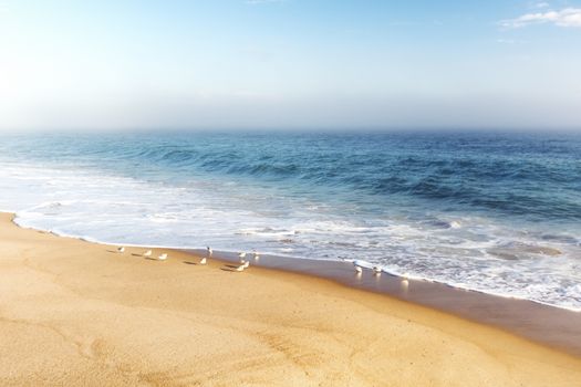 Photograph shows a coastal landscape in Rhode Island