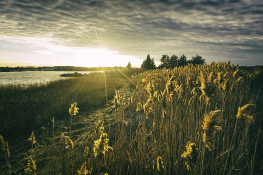 Photograph shows a coastal landscape in Rhode Island