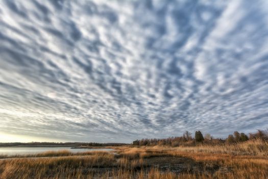 Photograph shows a coastal landscape in Rhode Island