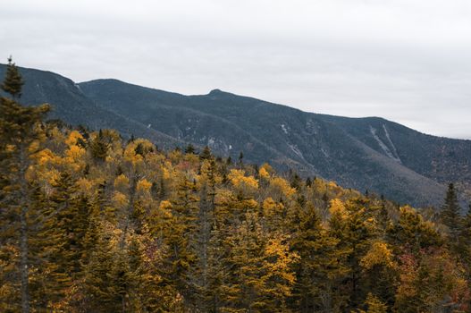 Fall foliage in New Hampshire, New England