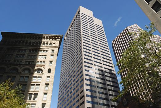 Top parts of skyscrapers in Boston with blue sky