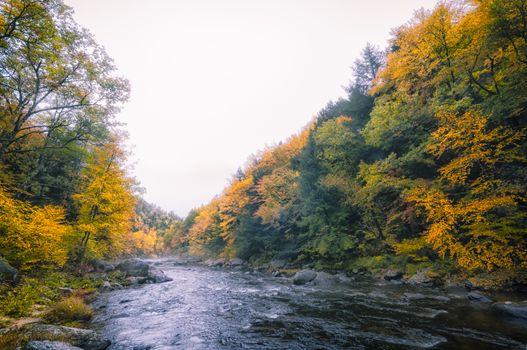 Fall foliage in New Hampshire, New England