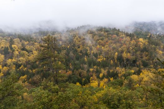 Fall foliage in New Hampshire, New England