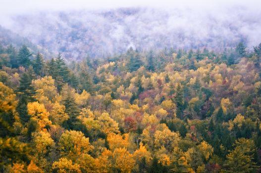 Fall foliage in New Hampshire, New England