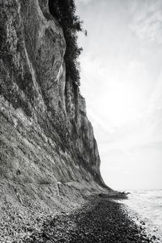 Trees are collapsing into the ocean due to the force of it