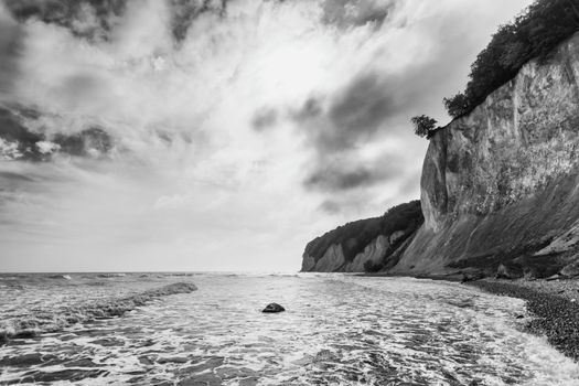 Trees are collapsing into the ocean due to the force of it